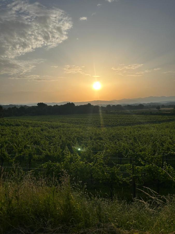 Cormòns Cruna Di Subida Wine Country House מראה חיצוני תמונה