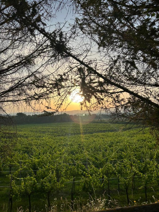 Cormòns Cruna Di Subida Wine Country House מראה חיצוני תמונה